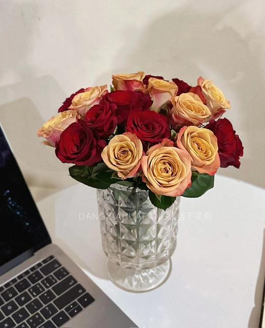 【只有20份.超值】高原红玫瑰10支+卡布奇诺玫瑰10支/份  长约55-60cm 商品图11