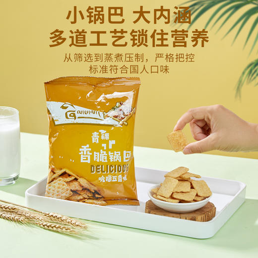 藏地礼物青稞香脆锅巴4袋组合 商品图3