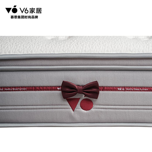 V6家居 MFB1-096 161金牌垫 商品图2