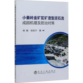 小秦岭金矿区矿渣型泥石流成因机理及防治对策
