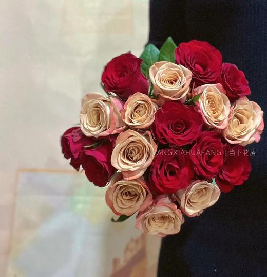 【只有20份.超值】高原红玫瑰10支+卡布奇诺玫瑰10支/份  长约55-60cm 商品图5