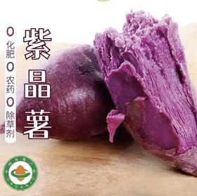有机紫薯500克
