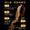 长白山参人参泡茶煲汤泡酒 商品缩略图1