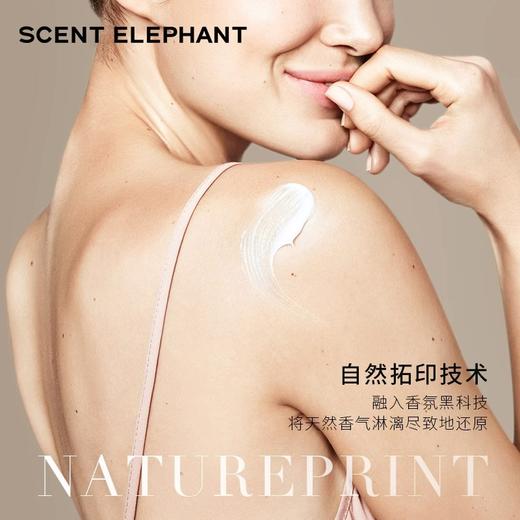 【气味飞象香氛角鲨烷身体乳】 点亮肌肤 深层滋护 蓝钻烟酰胺精华 滋润不粘 沁润肌肤乳。 商品图3