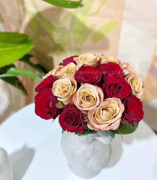 【只有20份.超值】高原红玫瑰10支+卡布奇诺玫瑰10支/份  长约55-60cm 商品图9