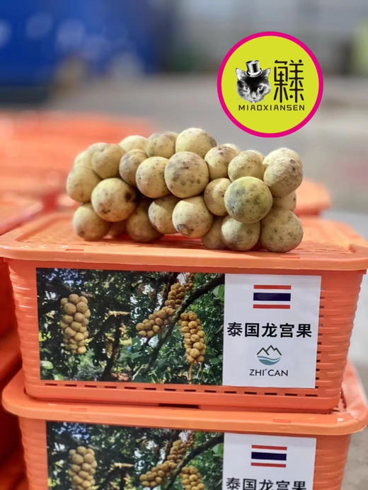 【礼盒】泰国龙宫果2kg装 商品图6