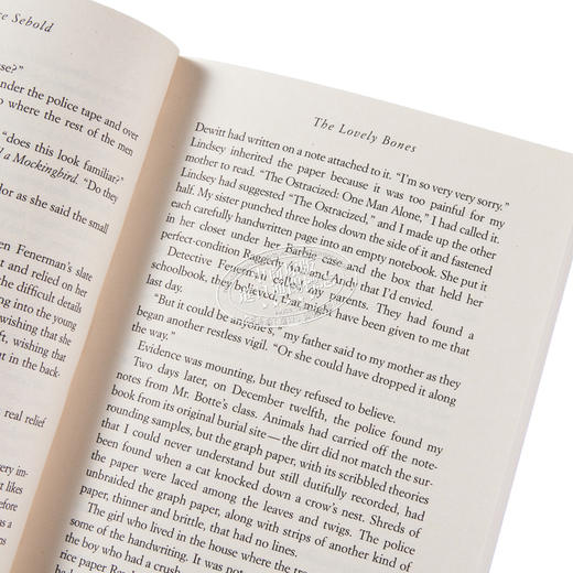 【中商原版】可爱的骨头 英文原版 The Lovely Bones 惊悚小说 Alice Sebold 商品图2