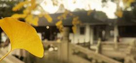 40岁以上人群跟大师免费学书法！隶书、楷书、行书都能学，不限基础，限时删除！