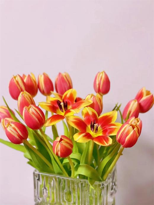 优选方德爱丽丝郁金香9支 商品图3