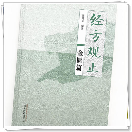 经方观止：金匮篇 张建荣 编著 中国中医药出版社 金匮要略 中医临床 书籍 商品图3