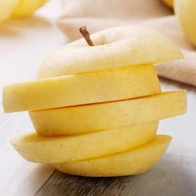 烟台黄金奶油富士，自然晚熟润养鲜甜口感，皮薄松脆，果肉细嫩，香甜多汁！