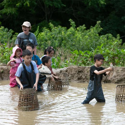 云南十八怪，杂糅的元阳哈尼梯田与建水汉家文庙【红河谷】7天6晚 商品图12