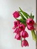 方德挚爱郁金香鲜切花9支 商品缩略图2