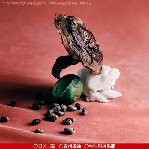 东边野兽灵芝修护唇油 商品图2