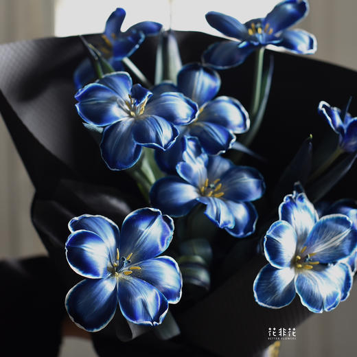 《星空》墨尔本午夜蓝郁金香 商品图7