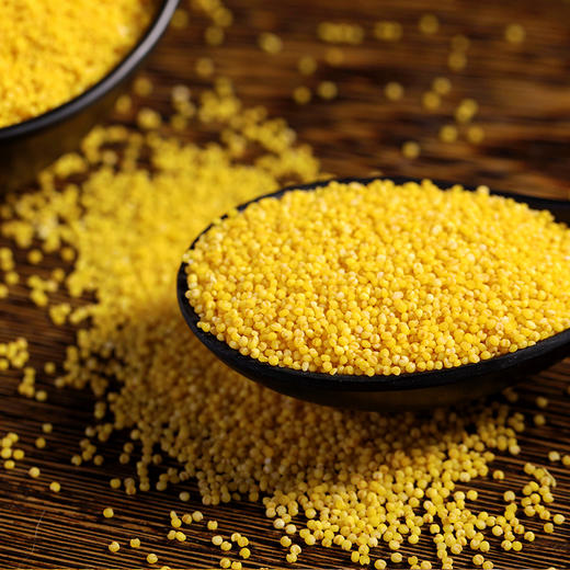 裕道府 金苗黄小米 1kg 商品图6