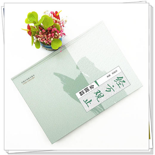 经方观止：金匮篇 张建荣 编著 中国中医药出版社 金匮要略 中医临床 书籍 商品图1