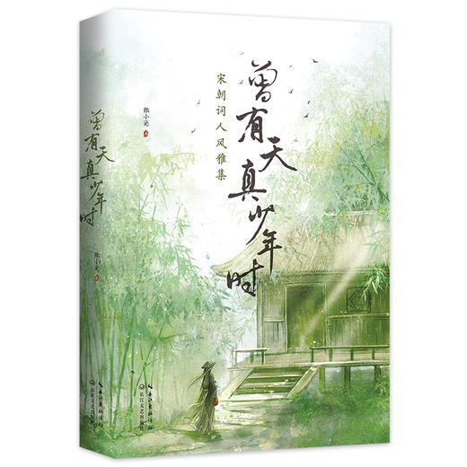 曾有天真少年时 商品图0