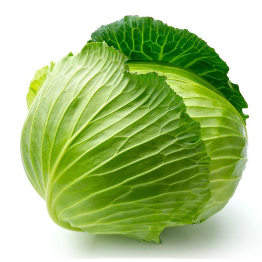 洋白菜(1000g±50g) 商品图0