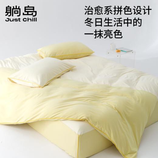 超细旦磨毛四件套 商品图4