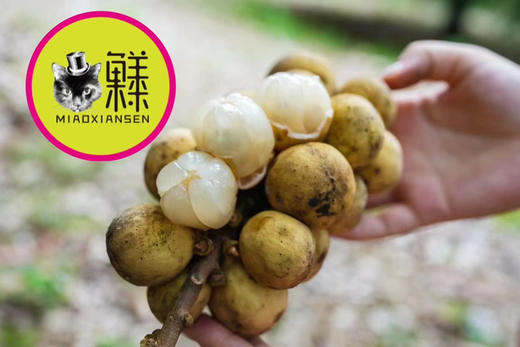 【礼盒】泰国龙宫果2kg装 商品图8