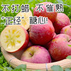 【云南昭通糖心丑苹果】不套袋·不打蜡·不催熟·红彤彤带天然晒斑的糖心苹果！现摘现发！ 商品缩略图3