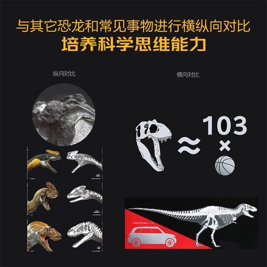 PNSO恐龙博物馆-霸王龙威尔逊的秘密 商品图4