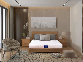 SOMNOPRO穗宝 鹿特丹床垫 连锁弹+椰棕[免费送装，偏远地区除外]