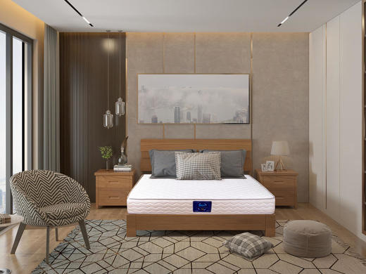 SOMNOPRO穗宝 鹿特丹床垫 连锁弹+椰棕[免费送装，偏远地区除外] 商品图0