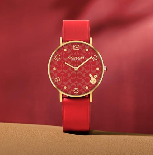 【情人节礼物】【下单送玫瑰金钛钢手镯】明星同款 COACH 蔻驰 中国龙年生肖限定手表 简约皮带石英女表 商品图5