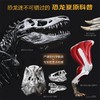 PNSO恐龙博物馆-霸王龙威尔逊的秘密 商品缩略图1