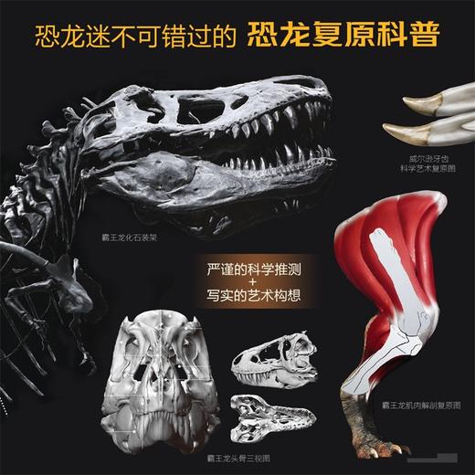 PNSO恐龙博物馆-霸王龙威尔逊的秘密 商品图1