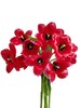 方德挚爱郁金香鲜切花9支 商品缩略图4