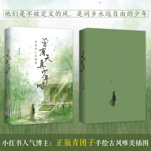 曾有天真少年时 商品图3