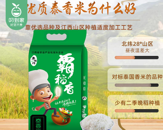 煮饭仔·霸稻香泰香米（5kg/包）生产日期: 1月 商品图2