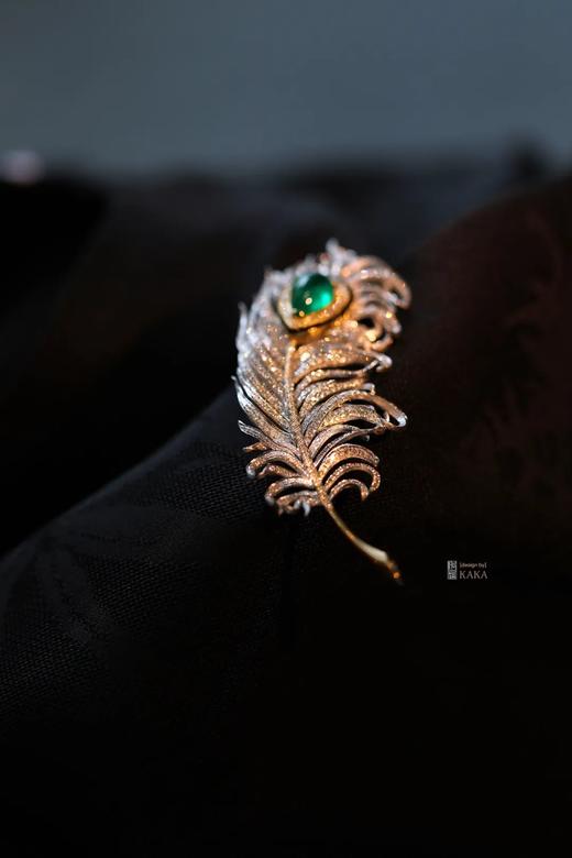 人生的吉光片羽 商品图1