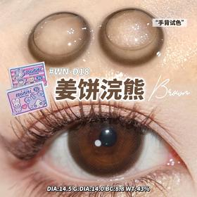 WN－D18 姜饼浣熊【日抛】