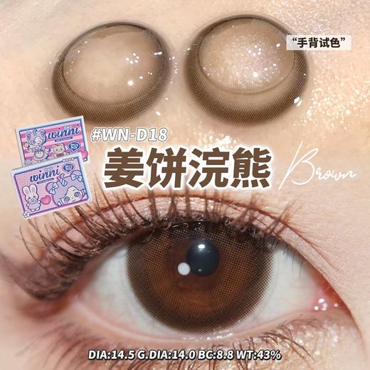 WN－D18 姜饼浣熊【日抛】 商品图0