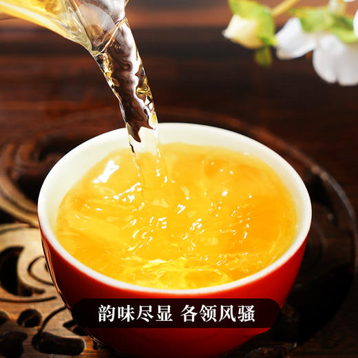 【限量加赠 汝窑杯】【积分兑换】【积分兑换价：460元+500积分】【古六大茶山】古寨春联合农科院出品官方指定用茶2022年头春头采生茶一套内含6饼一次喝遍古六大茶山品味古六大茶山魅力 商品图3