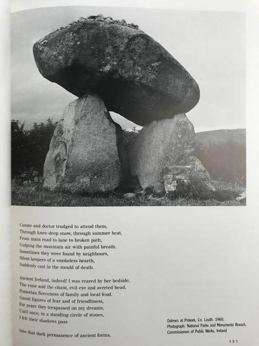 诗歌中的爱尔兰（1990） 118幅插图（50幅彩色） 精装16开 商品图12