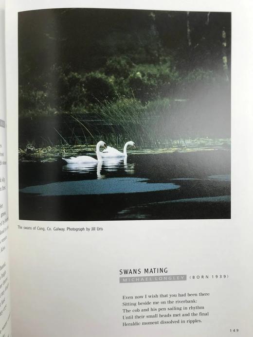 诗歌中的爱尔兰（1990） 118幅插图（50幅彩色） 精装16开 商品图13