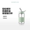 北鼎吸管杯冷饮杯大容量耐高温Tritan夏玻璃水杯带提手500ml高颜值吸管随行杯CD1017HF 商品缩略图11
