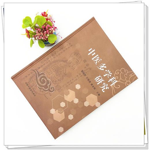 中医多学科研究 雷顺群 司银楚 黄金刚 主编 中国中医药出版社 商品图1