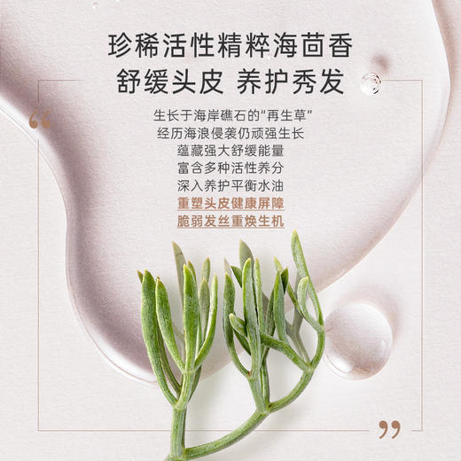 【高奢头皮护理套装】控油舒缓 改善头皮问题 奢养脆弱发丝 柔顺秀发 商品图2