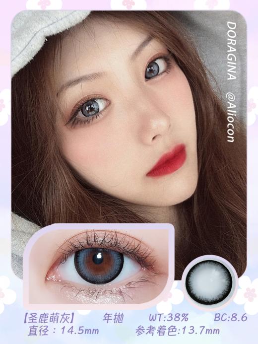 Doragina圣鹿萌灰 14.5mm【年抛1片】 商品图1