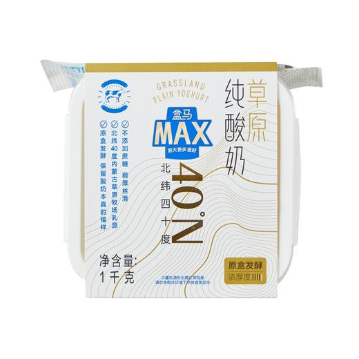 盒马 MAX 草原纯酸奶 1kg 商品图4