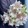 【买花的快乐源泉】AB级高原红玫瑰或随机玫瑰10支+黄天霸单头香水百合5支5朵+赞美诗单头亚百合3支3朵+橙色梦想亚百合6-8朵+送随机多头或随机单头康10支/份 商品缩略图3