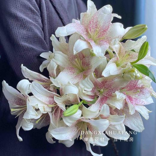 【买花的快乐源泉】AB级高原红玫瑰或随机玫瑰10支+黄天霸单头香水百合5支5朵+赞美诗单头亚百合3支3朵+橙色梦想亚百合6-8朵+送随机多头或随机单头康10支/份 商品图3