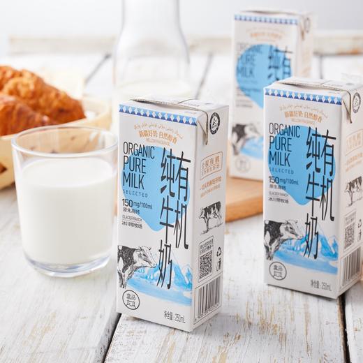 盒马 MAX 原生高钙有机纯牛奶 250ml*24 商品图2