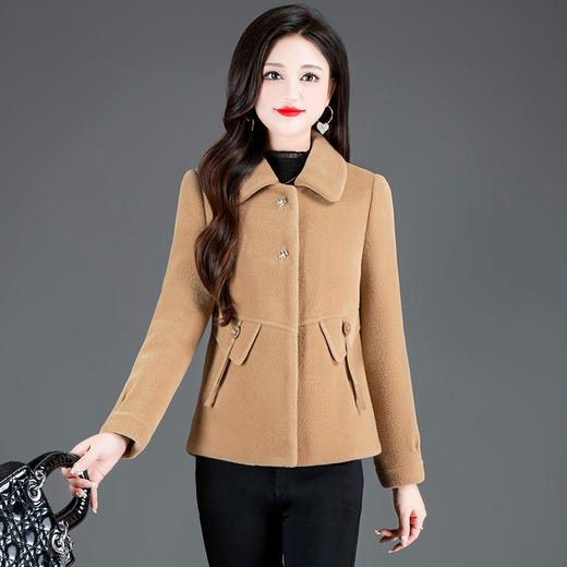 QYM-HSY-I23C050 -Y时尚短款仿貂绒大衣2023年新款冬季小个子加厚保暖毛呢外套 商品图4